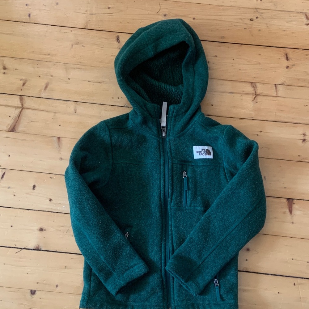 The North Face Kids Teal Hoodie